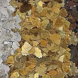 MICA Flooring Aggregate